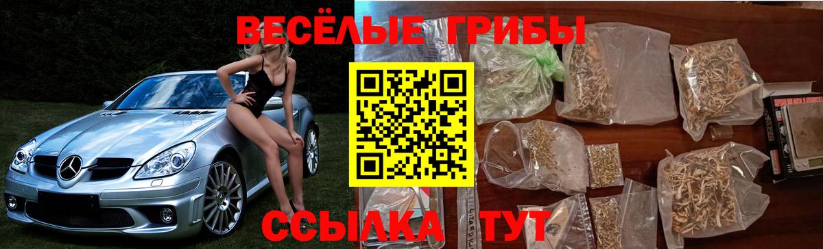 Галлюциногенные грибы MAGIC MUSHROOMS  Вход с VPN  Воскресенск 